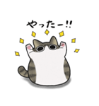 もちゃねこキジ白（個別スタンプ：13）