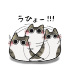 もちゃねこキジ白（個別スタンプ：16）