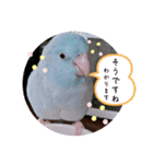 マメルリハ達（個別スタンプ：2）