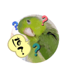 マメルリハ達（個別スタンプ：8）