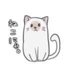 ねこにゃ。（個別スタンプ：1）