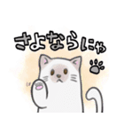 ねこにゃ。（個別スタンプ：6）