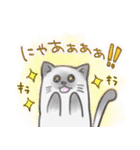 ねこにゃ。（個別スタンプ：9）