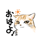 毎日送りたい！猫ちゃんスタンプ（個別スタンプ：1）