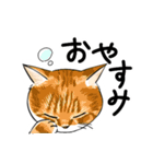 毎日送りたい！猫ちゃんスタンプ（個別スタンプ：2）