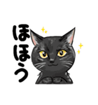 毎日送りたい！猫ちゃんスタンプ（個別スタンプ：11）