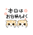 毎日送りたい！猫ちゃんスタンプ（個別スタンプ：15）