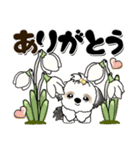 シーズー犬 135『春の花＆大きめ文字』（個別スタンプ：24）