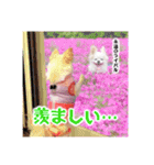 のめしこきチワワ4（個別スタンプ：26）