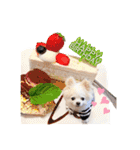 のめしこきチワワ4（個別スタンプ：30）