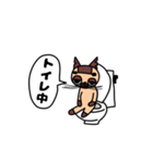 可愛くないシャツ猫くん！！7（個別スタンプ：5）