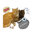 ウッドデッキの野良猫（個別スタンプ：3）