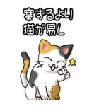 猫ことわざ その3（個別スタンプ：3）