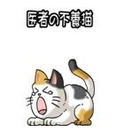 猫ことわざ その3（個別スタンプ：4）