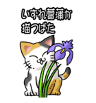 猫ことわざ その3（個別スタンプ：5）