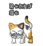 猫ことわざ その3（個別スタンプ：7）