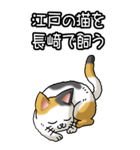 猫ことわざ その3（個別スタンプ：10）