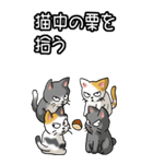 猫ことわざ その3（個別スタンプ：13）