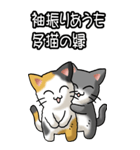 猫ことわざ その3（個別スタンプ：29）