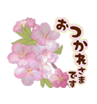 ❤️可愛い桜の飛び出す！動く！あいさつ❤️（個別スタンプ：2）
