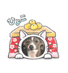 ふたご時々イッヌ（個別スタンプ：9）
