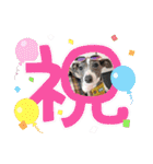 ふたご時々イッヌ（個別スタンプ：40）