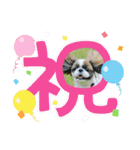 セドナちゃん1（個別スタンプ：32）