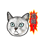 猫の絵スタンプ。②（個別スタンプ：2）