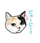 猫の絵スタンプ。②（個別スタンプ：5）