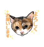 猫の絵スタンプ。②（個別スタンプ：8）