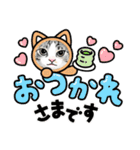 猫の絵スタンプ。②（個別スタンプ：13）