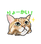 猫の絵スタンプ。②（個別スタンプ：18）