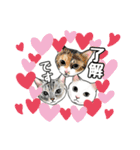 猫の絵スタンプ。②（個別スタンプ：19）