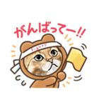 猫の絵スタンプ。②（個別スタンプ：37）