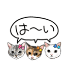 猫の絵スタンプ。②（個別スタンプ：40）