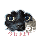 うちの黒猫の福ちゃん“モフサンド”（個別スタンプ：4）