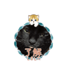 うちの黒猫の福ちゃん“モフサンド”（個別スタンプ：5）