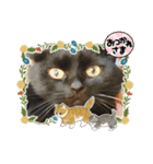 うちの黒猫の福ちゃん“モフサンド”（個別スタンプ：6）
