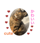 あんずちゃん其の9（個別スタンプ：2）