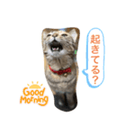 あんずちゃん其の9（個別スタンプ：7）