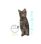 あんずちゃん其の9（個別スタンプ：10）