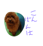 かわいいもじゃスタンプ第三弾（個別スタンプ：2）