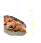 かわいいもじゃスタンプ第三弾（個別スタンプ：6）