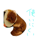 かわいいもじゃスタンプ第三弾（個別スタンプ：7）