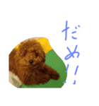 かわいいもじゃスタンプ第三弾（個別スタンプ：8）