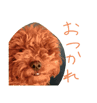 かわいいもじゃスタンプ第三弾（個別スタンプ：9）