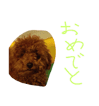 かわいいもじゃスタンプ第三弾（個別スタンプ：11）