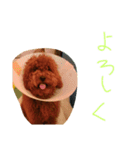 かわいいもじゃスタンプ第三弾（個別スタンプ：15）