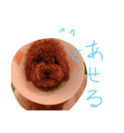 かわいいもじゃスタンプ第三弾（個別スタンプ：16）