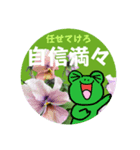 春の花とブラウン＆コニー8使いやすく便利（個別スタンプ：5）